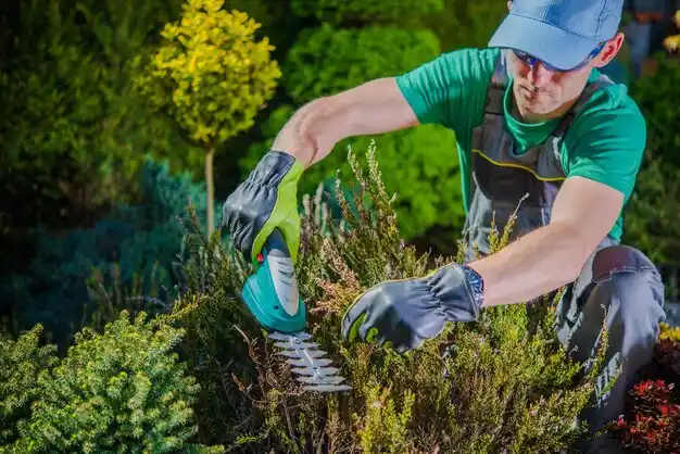 landscaping services Oakville